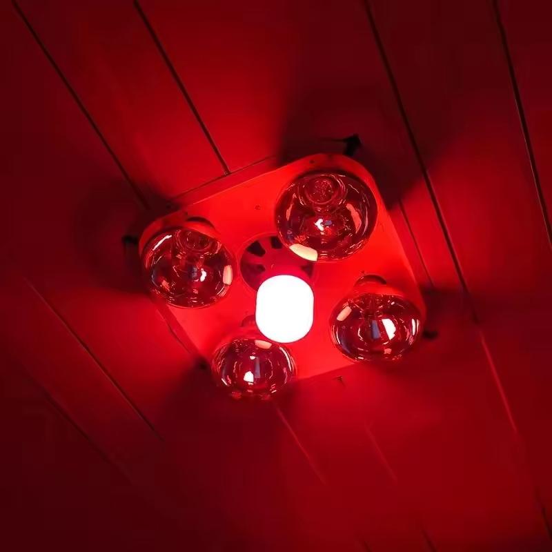 Outdoor Lighting Solar - Neue Hochleistungs-Rote LED-Glühbirne E27/B22 220V 5W